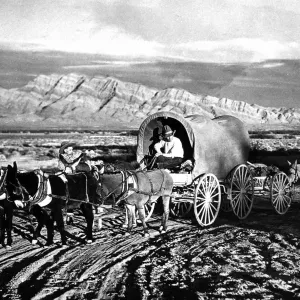 Vintage Black and White Horse Carriage Print Vintage Black and White Horse Carriage Print