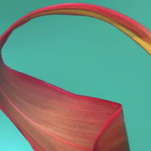 Large pink tropical leaf curled against teal background Large pink tropical leaf curled against teal background