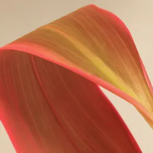 Large pinkish green tropical leaf against pale brown background Large pinkish green tropical leaf against pale brown background