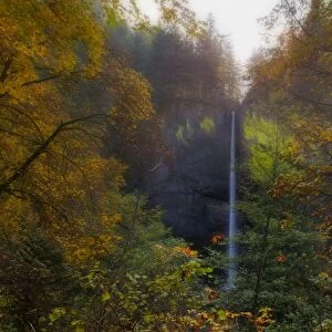 Latourell Falls in Autumn