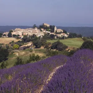 Lavender Fields Print, Entrevennes, Provence Lavender Fields Print, Entrevennes, Provence