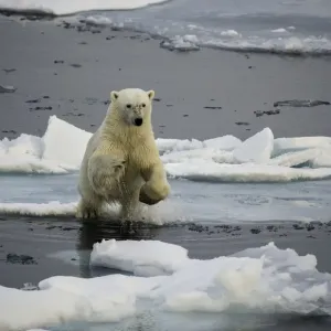 Sauter au-dessus. Sauter au-dessus.