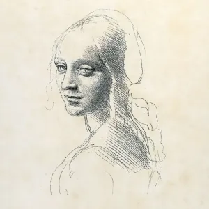 Leonardo da Vinci Print: Madonna Sketch Leonardo da Vinci Print: Madonna Sketch