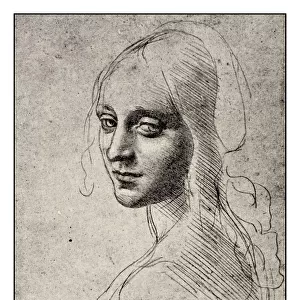 Leonardos sketches and drawings: Angel of Virgin of the Rocks