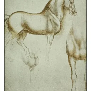 Legends And Icon Prints: Leonardo Da Vinci (1452-1519)