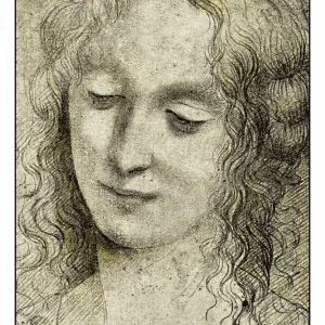 Leonardo's sketches and drawings: Virgin of Virgin of the Rocks Leonardo's sketches and drawings: Virgin of Virgin of the Rocks