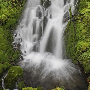 Lewis River waterfall, Gifford Pinchot National Forest, Washington State, USA