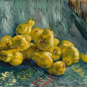 Still Life with Quinces, 1887-1888. Artist: Gogh, Vincent, van (1853-1890) Still Life with Quinces, 1887-1888. Artist: Gogh, Vincent, van (1853-1890)