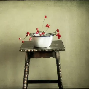 Still Life Print with Rose-Hip and Twigs in Enamel Bowl