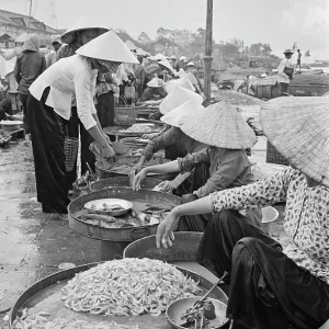 Life Along The Saigon River Life Along The Saigon River