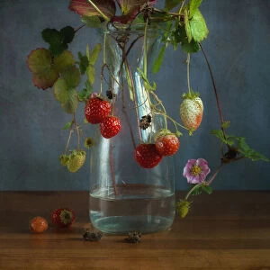 Still Life With Strawberry Plant