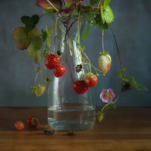 Still Life Print - Close-Up Strawberry Plant in Glass Bottle