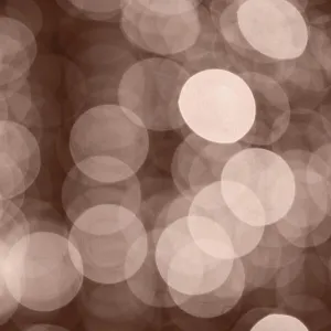 Images Dated 2024 December: 6 Dec 2024
