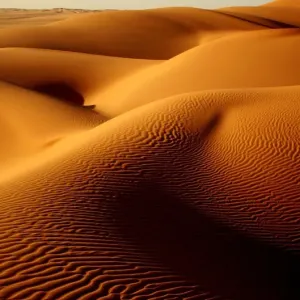 Last light in the Ubari Sand Sea, Libyan Sahara Last light in the Ubari Sand Sea, Libyan Sahara