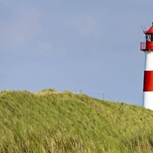 Lighthouse of List Ost on the Sylt peninsula of Ellenbogen, Sylt, North Frisia, Schleswig-Holstein, Germany, Europe, PublicGround