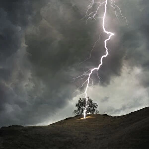 Lightning striking a lone tree during stormy weather
