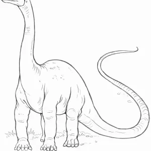 Line drawing of a diplodocus