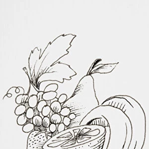 Line drawing of fruit including bananas, pear and grapes