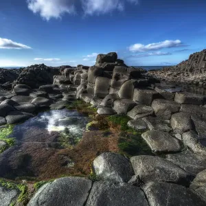 Living Earth