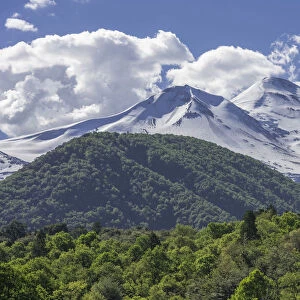 Llaima volcano, Conguillio National Park, Melipeuco, Region de la Araucania, Chile