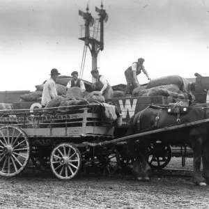 Loading Up Apples