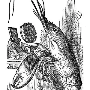 Lobster in front of the mirror - Alice in Wonderland 1897
