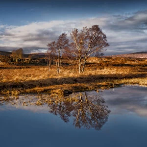 Loch Ba Reflections