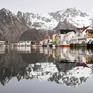 The Lofoten mountains being reflected in the water of the harbour of Henningsvaer, Lofoten, Norway