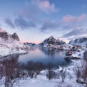 Lofoten Reine View Point Print Lofoten Reine View Point Print