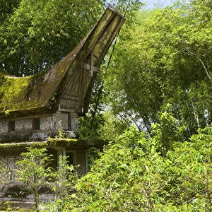 Lokomata burial site in the shape of a traditional Toraja house, near Ratepao, Sulawesi, Indonesia, Southeast Asia