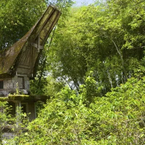 Lokomata burial site in the shape of a traditional Toraja house, near Ratepao, Sulawesi, Indonesia, Southeast Asia