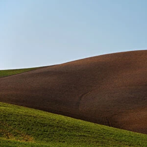 Lonely Cypress on the top of a hill, Val d Orcia Tuscany