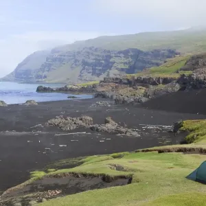 Lonely tent on a meadow in the early morning fog, Osthoefn, Heradsfloi bay, Greenland Sea, Atlantic coast, Iceland, Europe Lonely tent on a meadow in the early morning fog, Osthoefn, Heradsfloi bay, Greenland Sea, Atlantic coast, Iceland, Europe