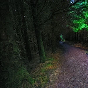 Lonesome Road Leading Through Dark and Eerie Forest on the Isle of Skye, Scotland