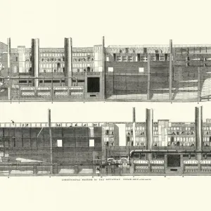 Longitudinal Cross Section Print of SS Great Eastern Longitudinal Cross Section Print of SS Great Eastern