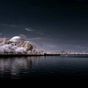 Infrared Cherry Blossom Print at the Jefferson Memorial Infrared Cherry Blossom Print at the Jefferson Memorial