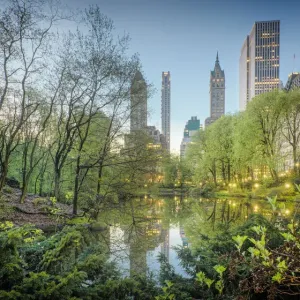 Central Park Morning Print Central Park Morning Print