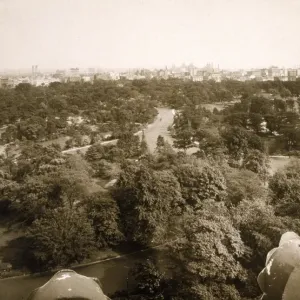 Looking North Over Prospect Park