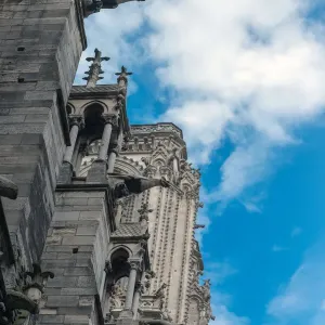 Looking up at the side of Notre Dame Cathedral Looking up at the side of Notre Dame Cathedral