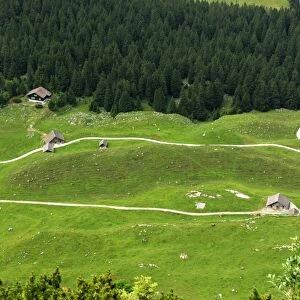 Loop trail, hiking trails in the Alpstein mountain range, canton of Appenzell Innerrhoden, Appenzell Inner Rhodes, Switzerland, Europe