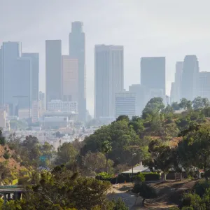 Los Angeles Skyline Print featuring Downtown LA and Suburban Neighborhood Los Angeles Skyline Print featuring Downtown LA and Suburban Neighborhood