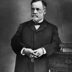 Louis Pasteur Louis Pasteur
