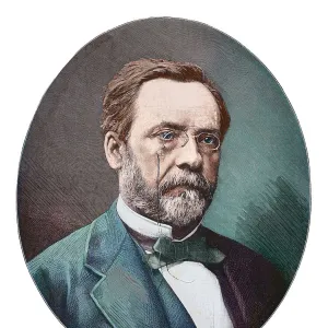 Louis Pasteur french chemist portrait engraving 1882