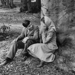 Love In The Woods Love In The Woods