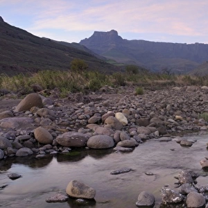 Low angle view of the Amphitheatre mountain from the Tugela River, Drakensberg uKhahlamba National Park, South Africa