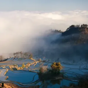 Luamadian Print at Yuanyang Rice Terraces