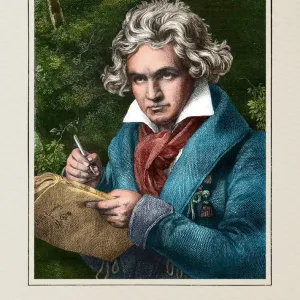 Ludwig van Beethoven Print Ludwig van Beethoven Print