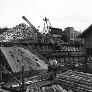 Lumber Piles Lumber Piles