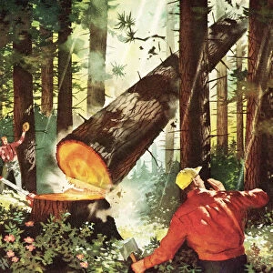 Two Lumberjacks Cutting Down Tree
