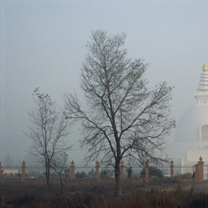 Lumbini stupa